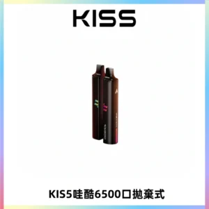 KIS5WAGOO哇酷6500口拋棄式 | 自由混搭雙口味 | 雙芯組合