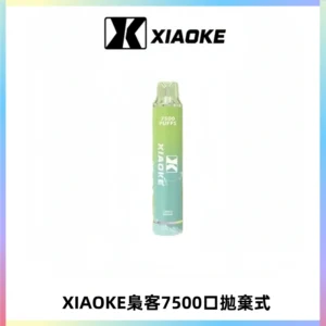 XIAOKE梟客7500Puffs跑馬燈拋棄式電子煙 可發光一次性